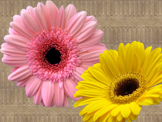 429054 (a): :1599x1200